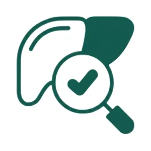 Liver Function Test (LFT)